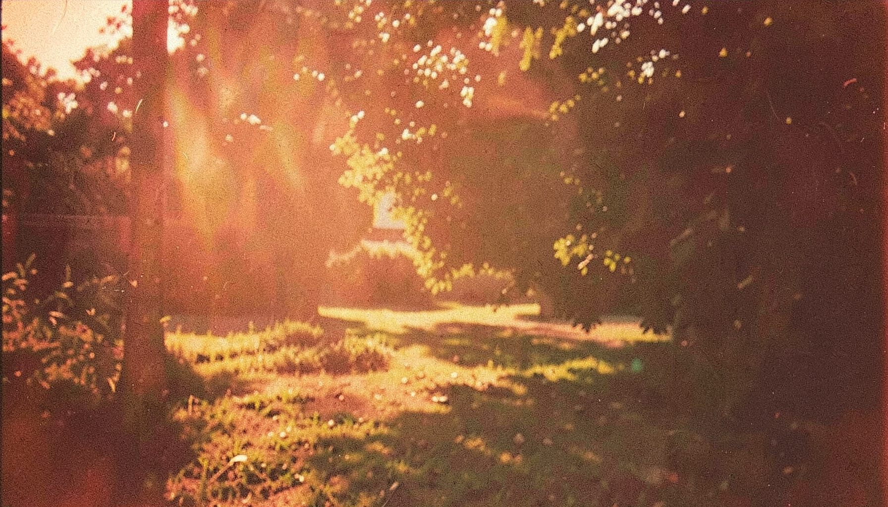 A sun-drenched outdoor scene with warm golden light and deep shadows, grainy analog film still